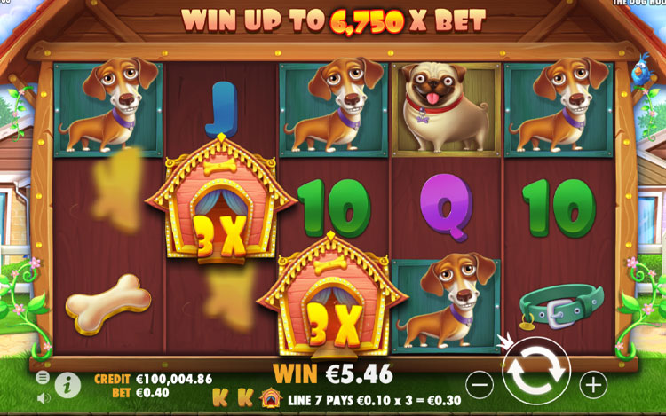 The Dog House Slots Lord Ping